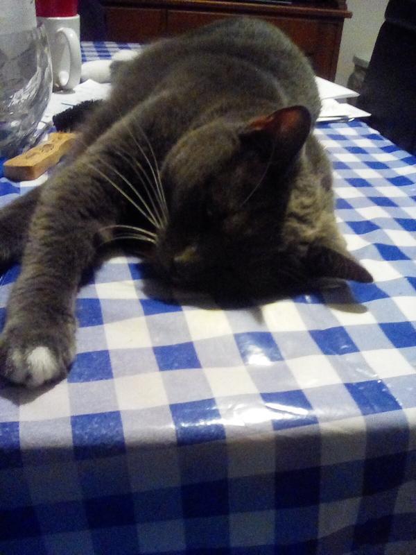 Grayce
