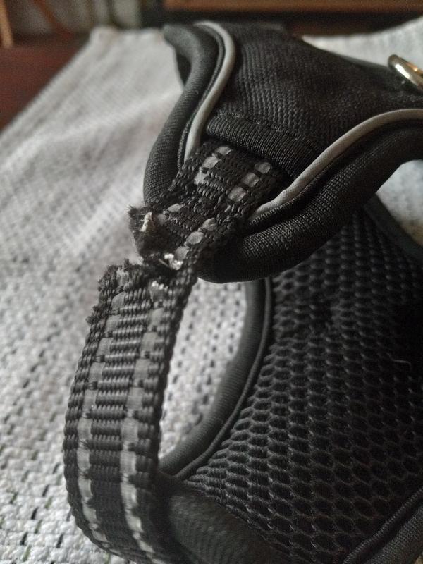 Photo - commentaire&nbsp;2.