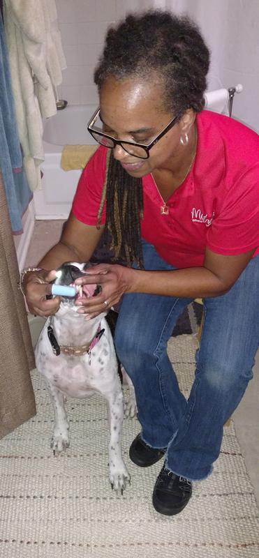 Cheyenne getting her teeth sparkling clean!