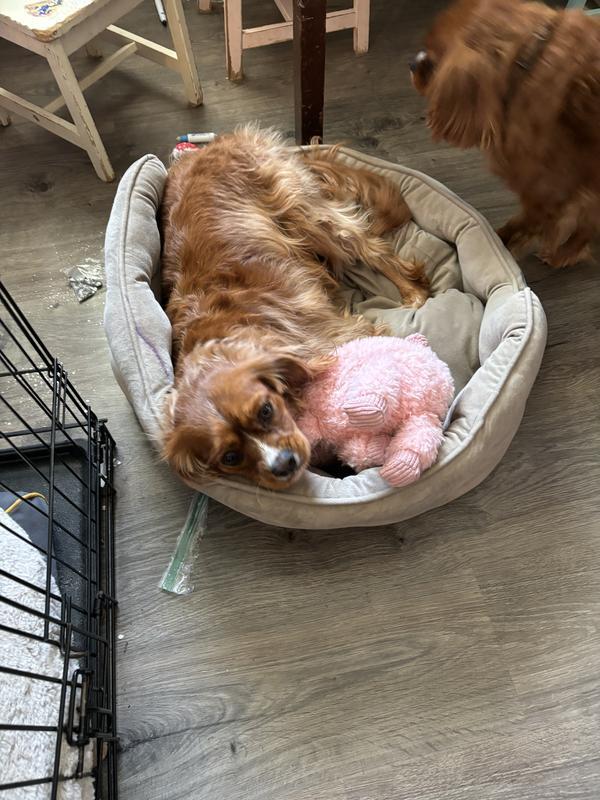 Cuddle time