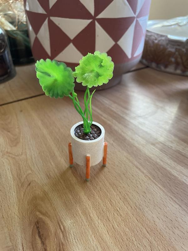 Little plant.