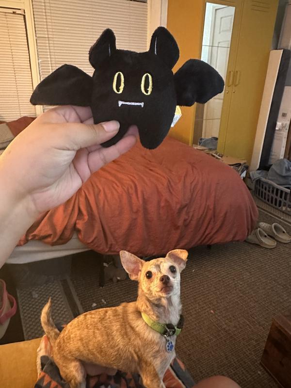 Photo - commentaire 7.