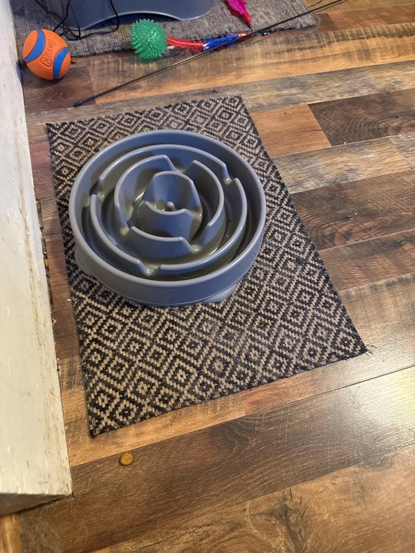 It helps keep her bowl from sliding