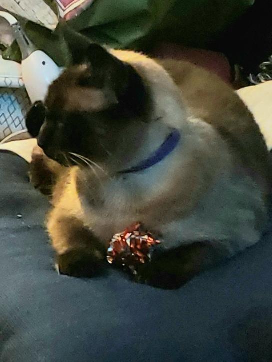Kiku & Mylar ball
