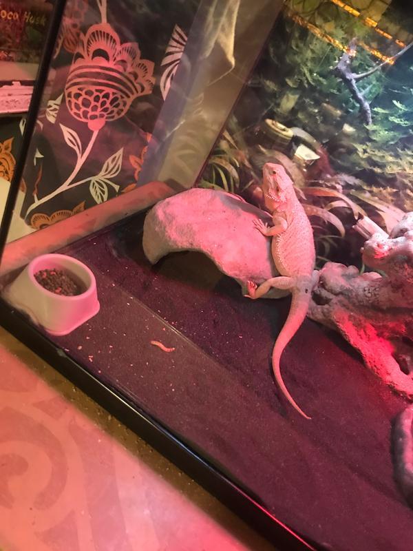 new sand