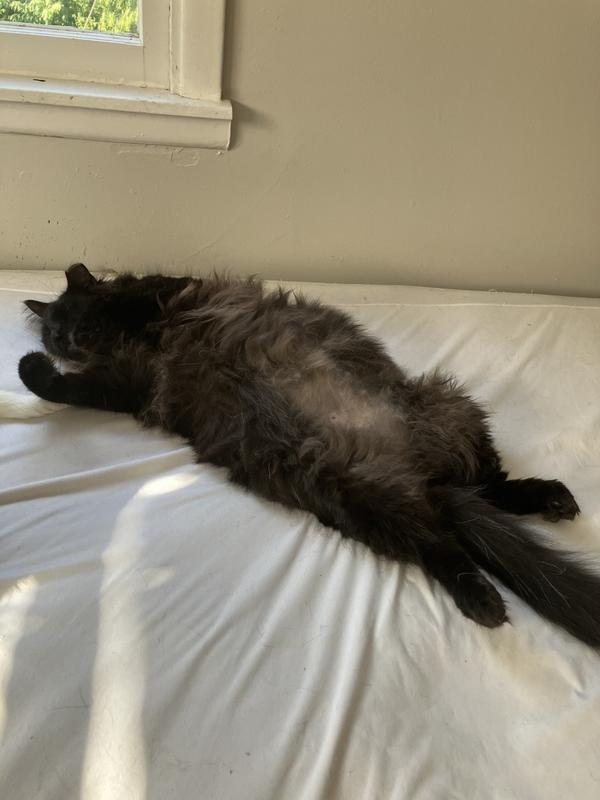 Photo - commentaire&nbsp;2.