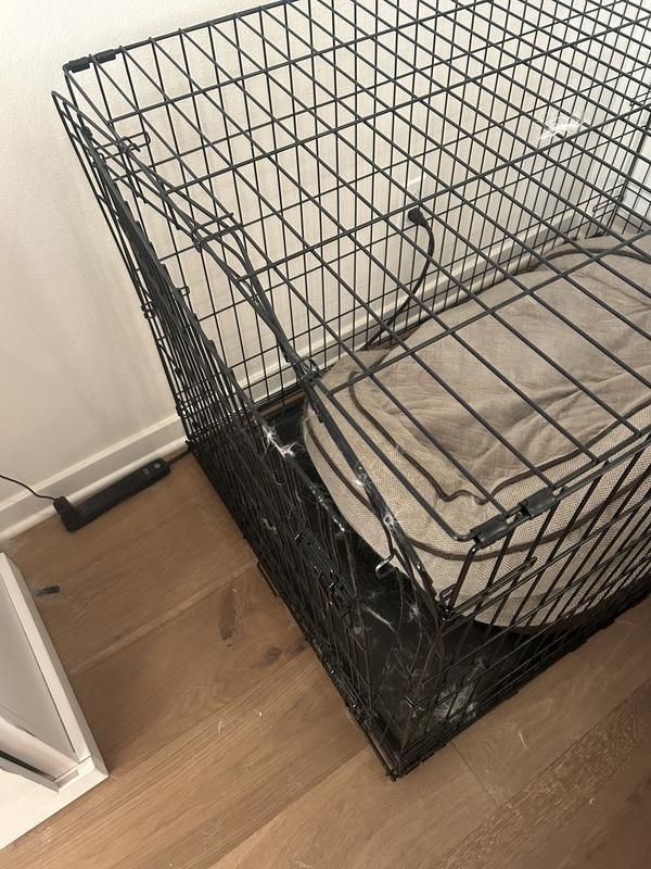 EveryYay Going Places 1-Door Folding Dog Crate, 18" L X 12.5" W X 14.5" H | Petco