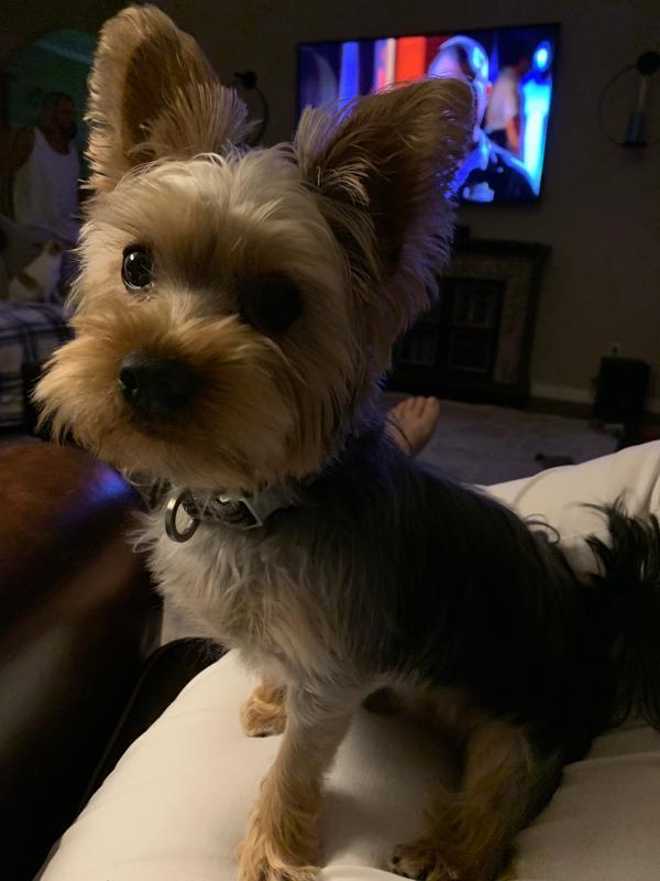 Jake looking handsome with his new hair trimming.