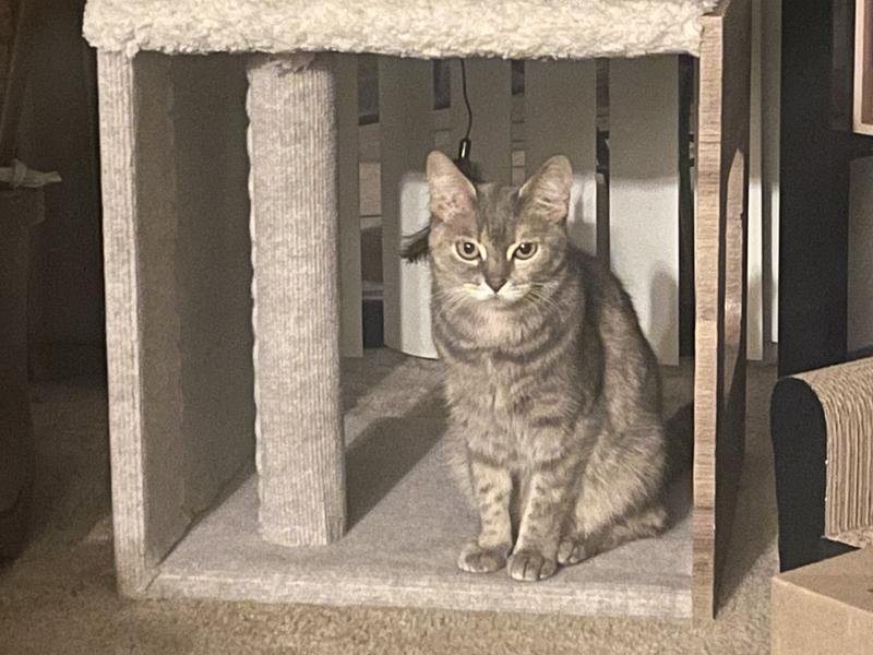 Waiting for dinner in a safe place
