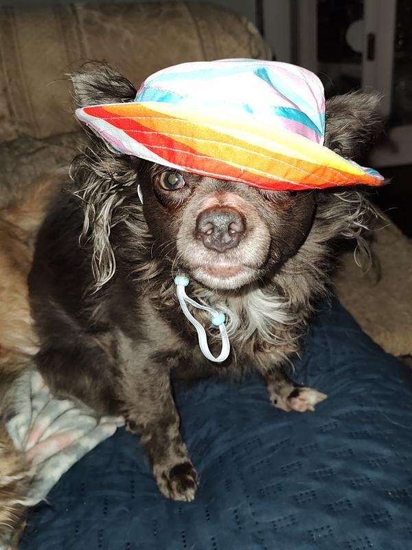 Very dapper look!
