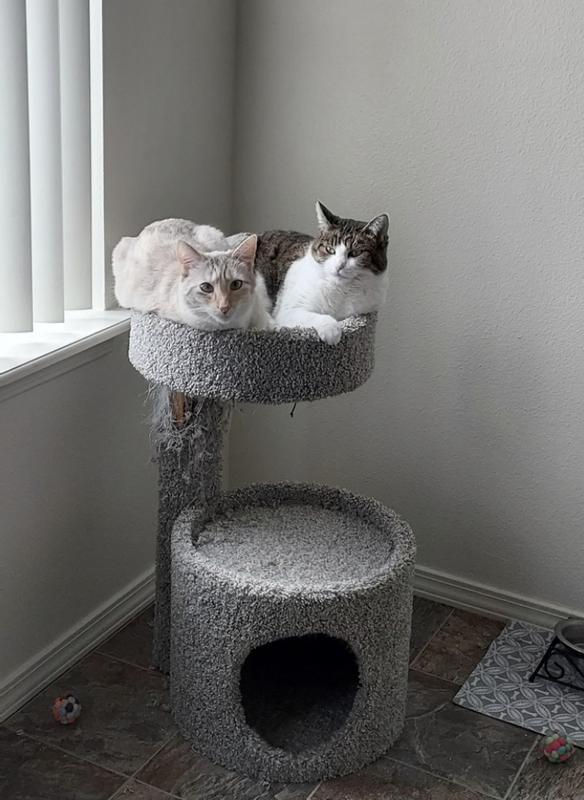 Just hanging with my bestie.