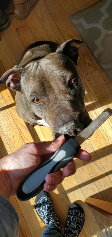 Trying to determine if this is a scary thing. It passes the smell test.