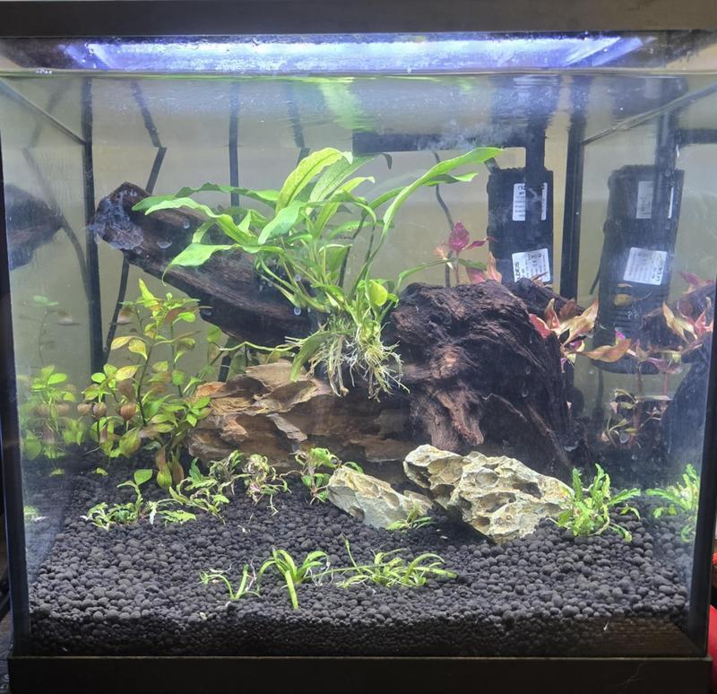 8 gallon cube