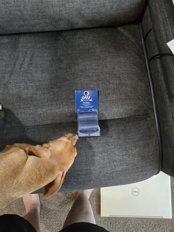 Checking out the bags