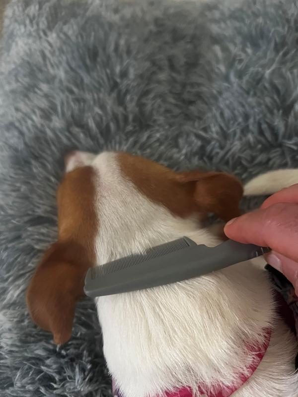 Checking upper neck area