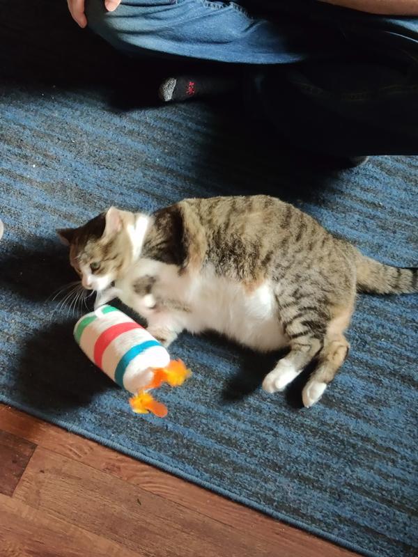 Nom