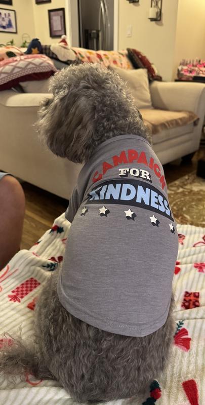 Cooper is a 25 pound schnoodle.