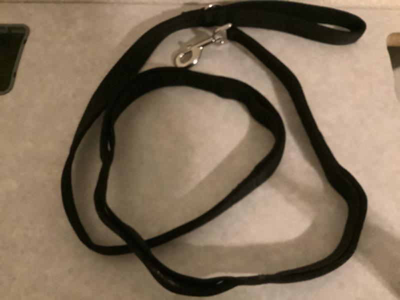 Awesome Leash!