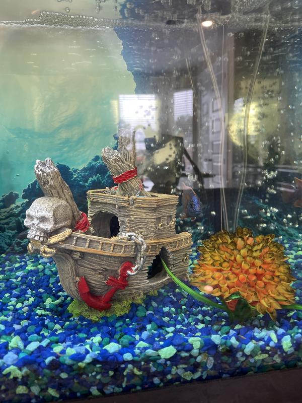 In the tank