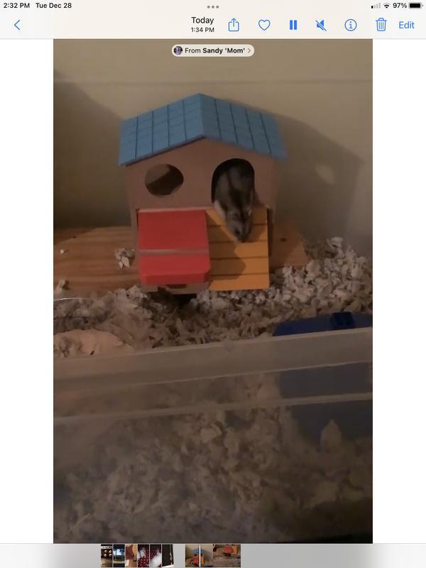 He loves it!