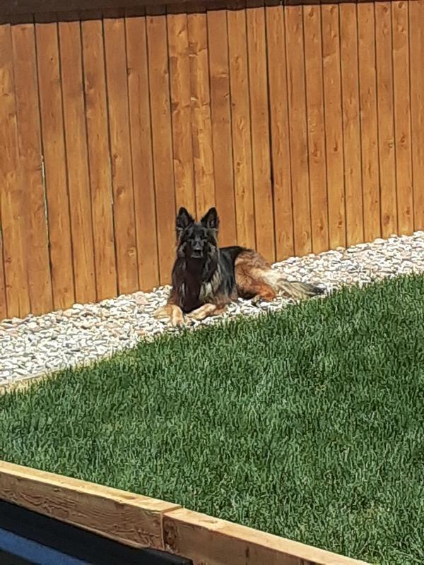 Photo - commentaire&nbsp;8.