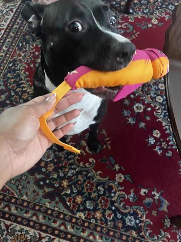 Photo - commentaire&nbsp;6.