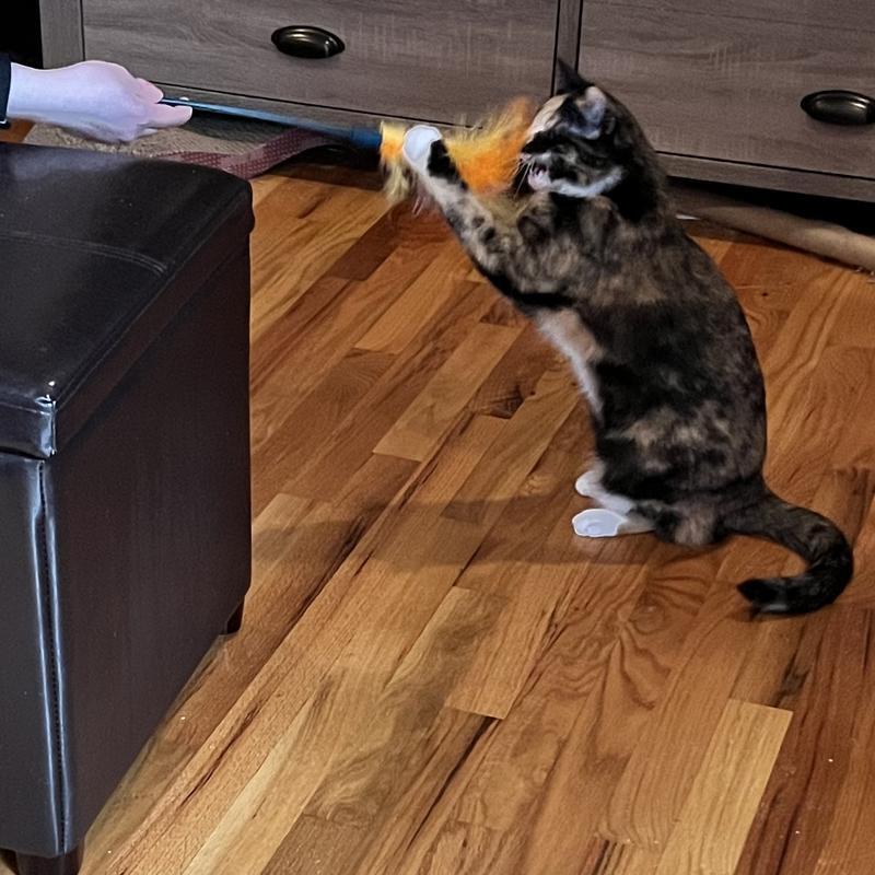 “I bite it because I’m so fierce!”