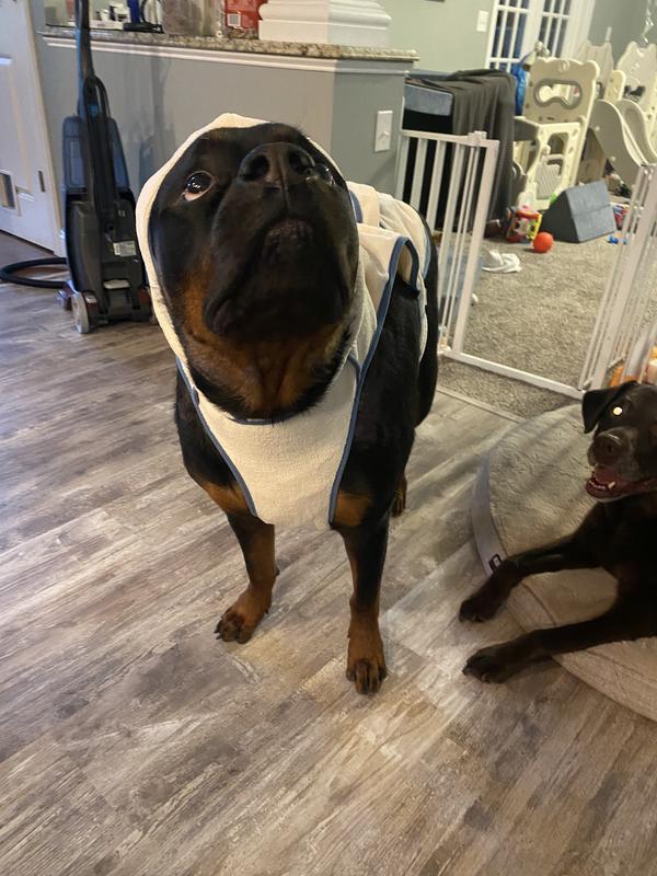 My Rottie is 125lbs so it’s hard to find items big enough but this worked for us!