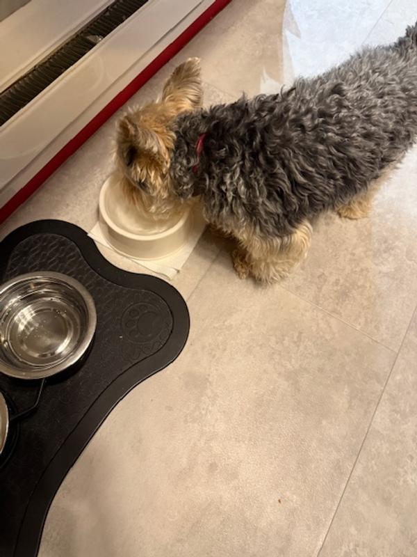 Never run out of food/water