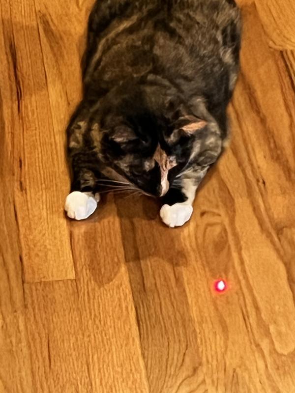 “Is it going to move again?”