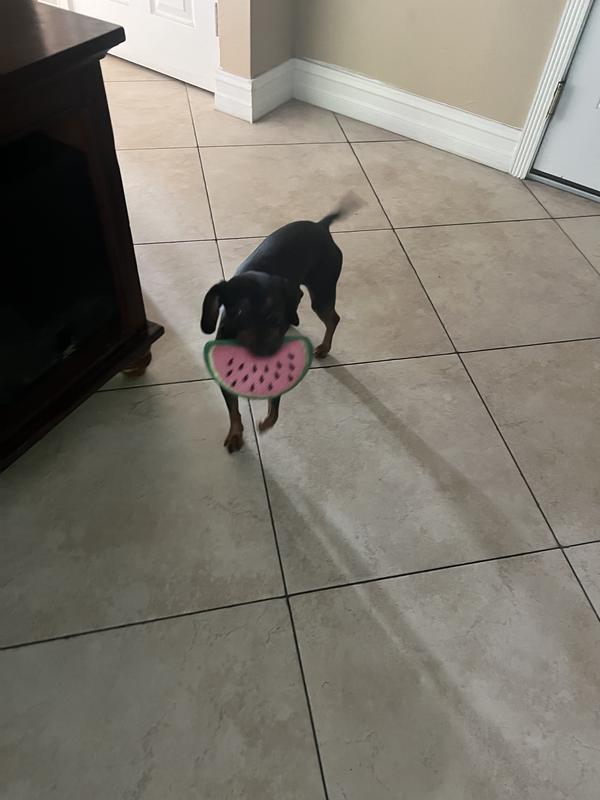 Photo - commentaire&nbsp;6.