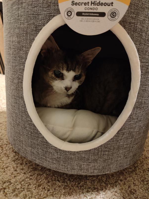 Condo lover