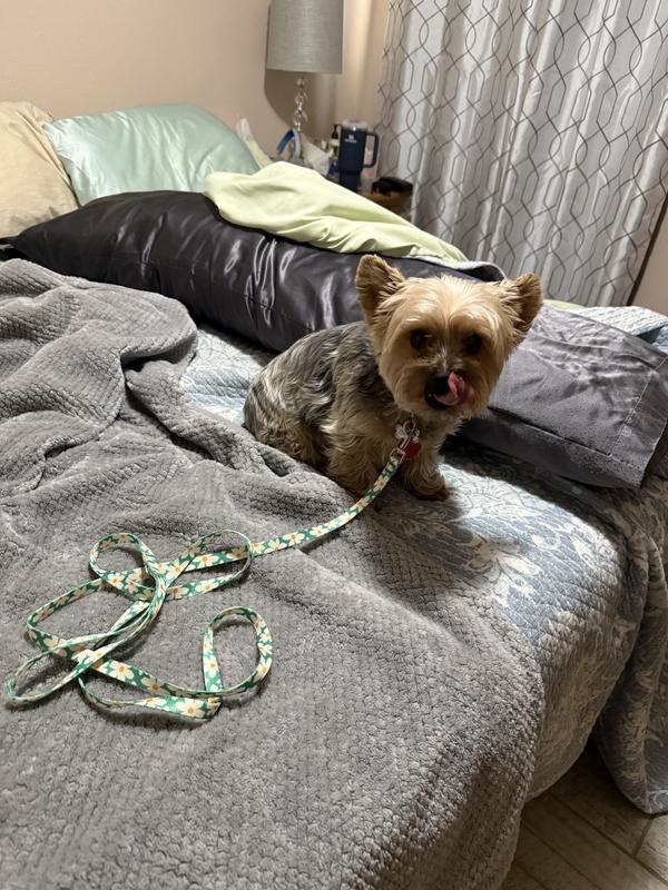 Showing the length compared to her size