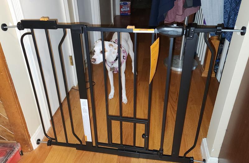 Gate set up in hallway, using one of 2 provided extension pieces
