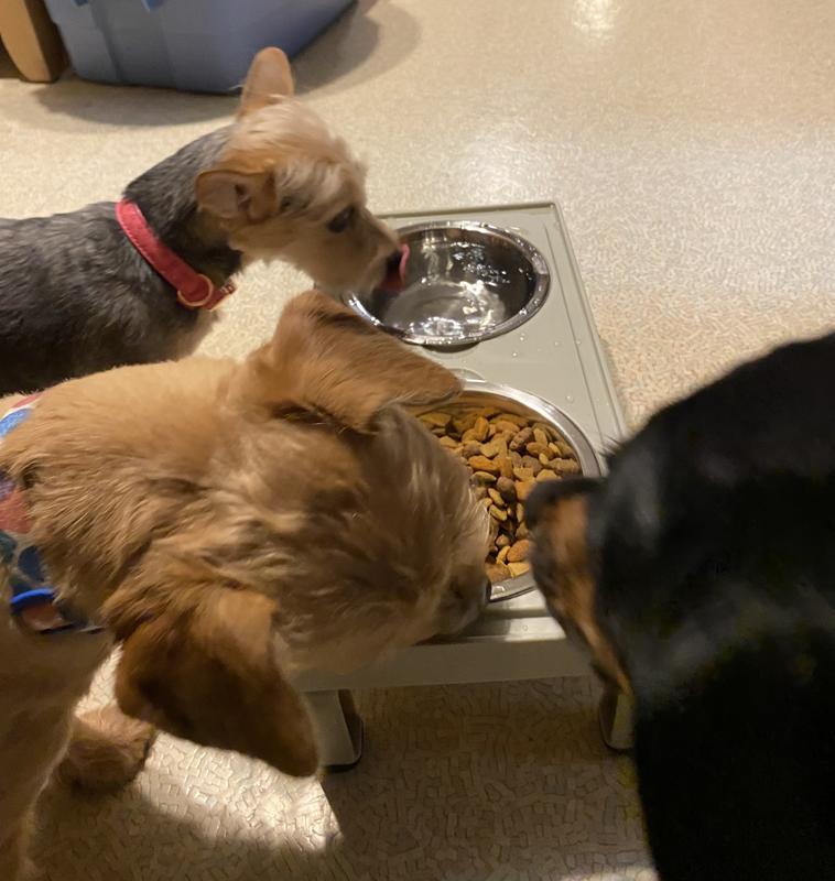 All 3 of us trying out the new bowls