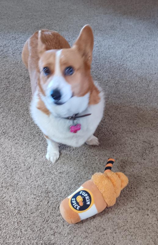 Look mom, I have a new toy!!!