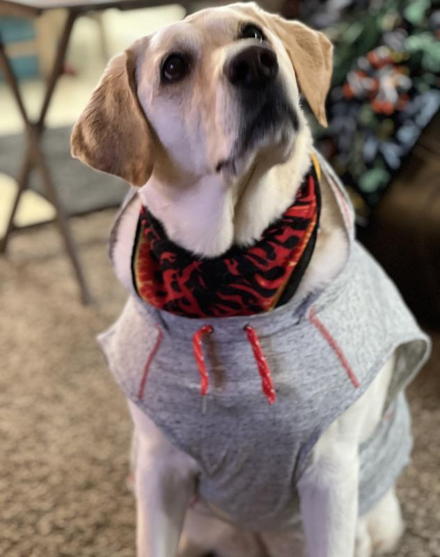 Rainy day cozy as can be!