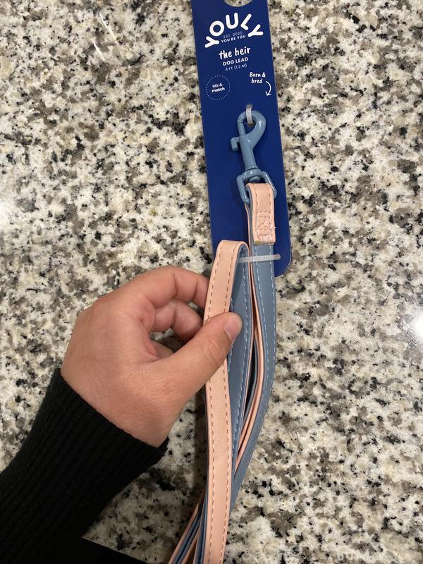 This is a photo from when I first got it, showing of the colors!