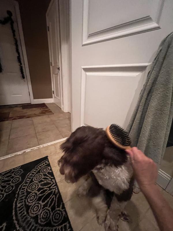 Brush time!