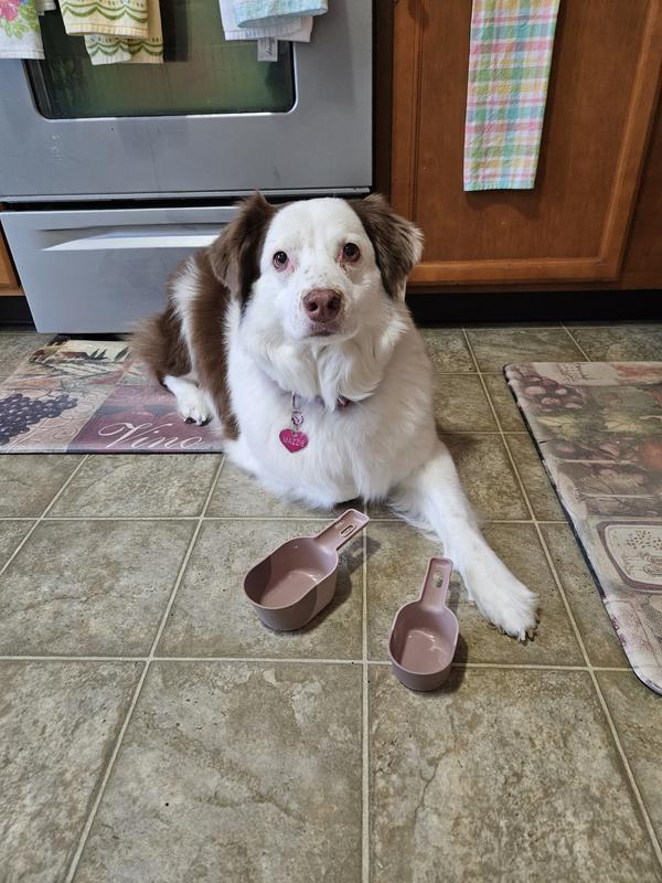 My Mazzie loves them!