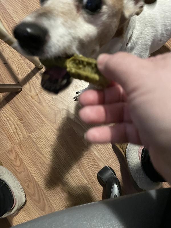 Rocky loves his smart smiles treat