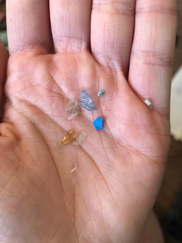 The plastic pieces I pulled out