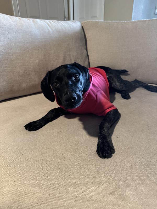 Queen of the couch