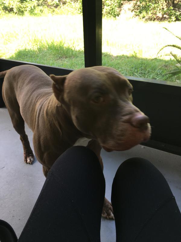 Pup