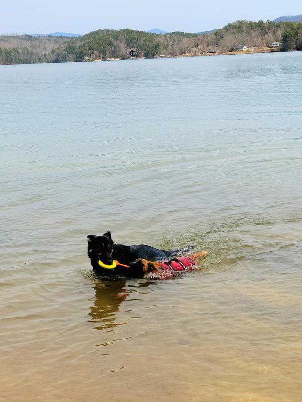 Teaching my baby sister to swim and fetch!