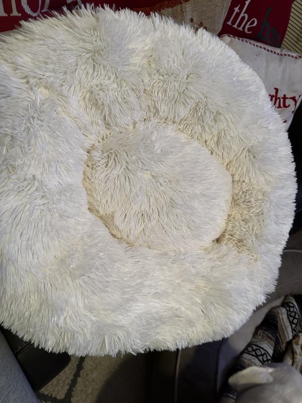 Cute dog bed