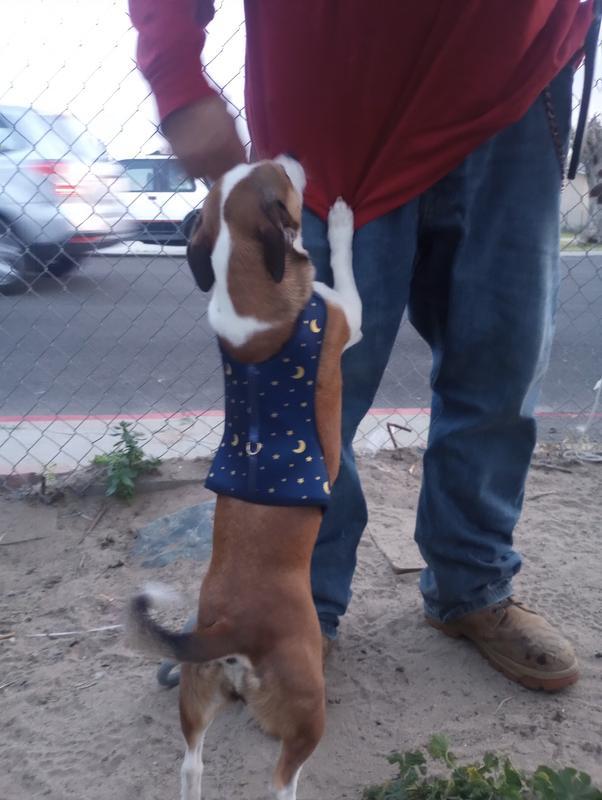 Harness stays in place!