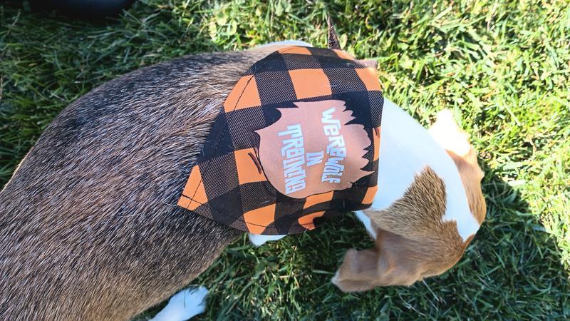 Photo - commentaire&nbsp;1.