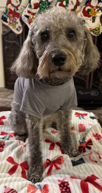 The shirt is not as tight across his chest.