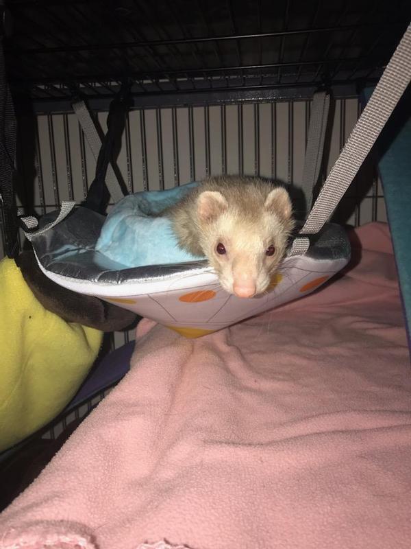 Sister Gidget gettjng her chance